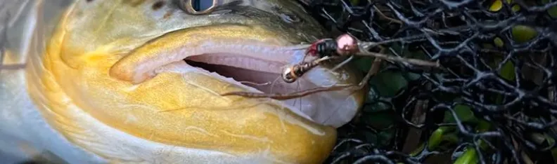 Fisherman casting a line